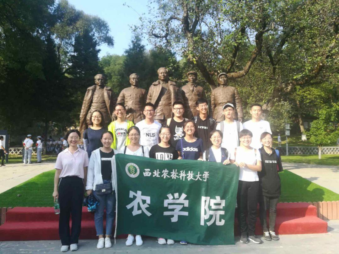 加入冰箱压缩机不能启动有哪几方面的原因?,探索知识星球的无限魅力
